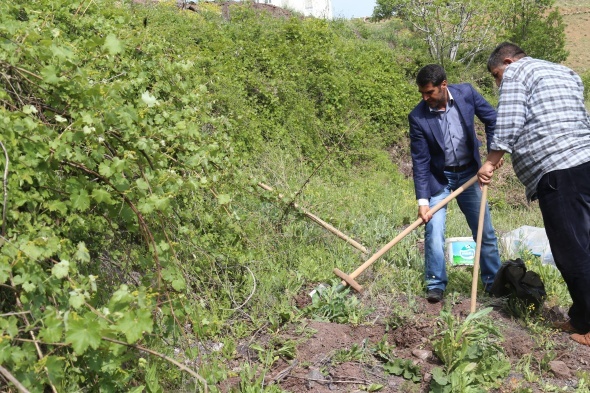 ToplanmasÄ± yasak olan 6 kilo salep soÄanÄ±na 48 bin 625 lira ceza