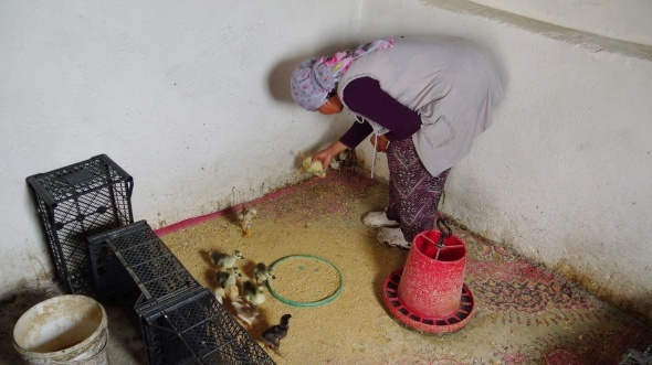 Kars'ta korkutan geliÅme... GeÃ§en yÄ±l ortaya Ã§Ä±kmÄ±ÅtÄ±! Yeniden baÅladÄ±