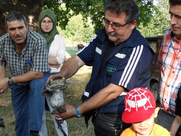 Korkutan gÃ¶rÃ¼ntÃ¼! Ekipler harekete geÃ§ti