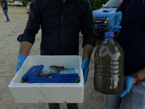 Korkutan gÃ¶rÃ¼ntÃ¼! Ekipler harekete geÃ§ti