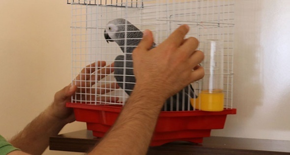 BulduÄu papaÄanÄ±n sÃ¶yledikleri karÅÄ±sÄ±nda Åoke oldu