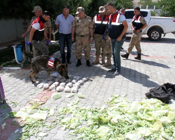 Jandarma bile Åoke oldu! Ãyle bir yere saklamÄ±Ålar ki...