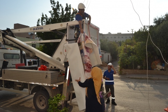 FacianÄ±n eÅiÄinden dÃ¶nÃ¼ldÃ¼! Tellerin Ã¼zerinde gÃ¶rÃ¼nce yetkililere haber verdiler
