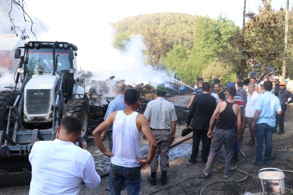 Korku dolu gÃ¶zlerle izlediler! KÃ¼le dÃ¶ndÃ¼