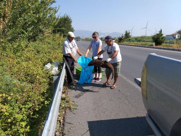 Duyan harekete geÃ§ti! Ezilerek telef oldu