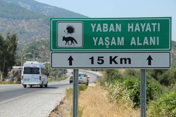 Duyan harekete geÃ§ti! Ezilerek telef oldu