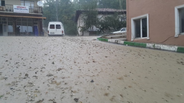AÄustos ayÄ±nda ÅaÅÄ±rtan gÃ¶rÃ¼ntÃ¼! Ceviz bÃ¼yÃ¼klÃ¼ÄÃ¼nde yaÄdÄ±