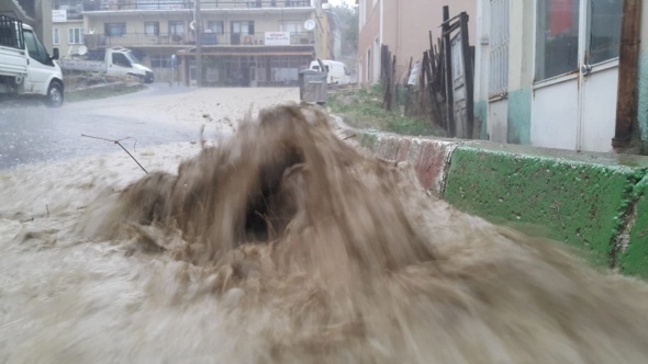 AÄustos ayÄ±nda ÅaÅÄ±rtan gÃ¶rÃ¼ntÃ¼! Ceviz bÃ¼yÃ¼klÃ¼ÄÃ¼nde yaÄdÄ±