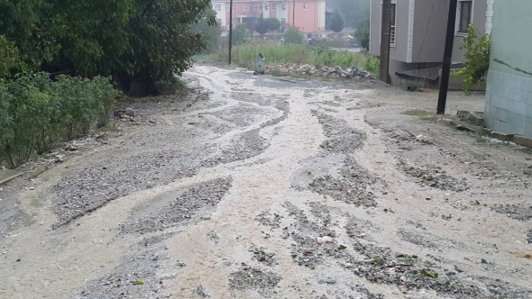 AÄustos ayÄ±nda ÅaÅÄ±rtan gÃ¶rÃ¼ntÃ¼! Ceviz bÃ¼yÃ¼klÃ¼ÄÃ¼nde yaÄdÄ±