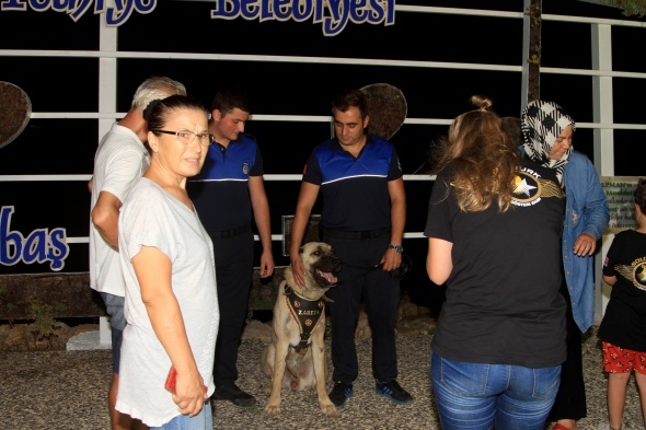 AracÄ±n arkasÄ±na baÄlayÄ±p sÃ¼rÃ¼klenen kÃ¶pek 'turizm zabÄ±tasÄ±' oldu