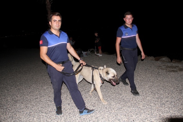 AracÄ±n arkasÄ±na baÄlayÄ±p sÃ¼rÃ¼klenen kÃ¶pek 'turizm zabÄ±tasÄ±' oldu