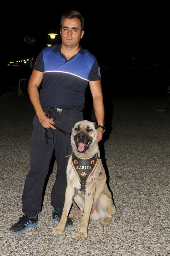 AracÄ±n arkasÄ±na baÄlayÄ±p sÃ¼rÃ¼klenen kÃ¶pek 'turizm zabÄ±tasÄ±' oldu