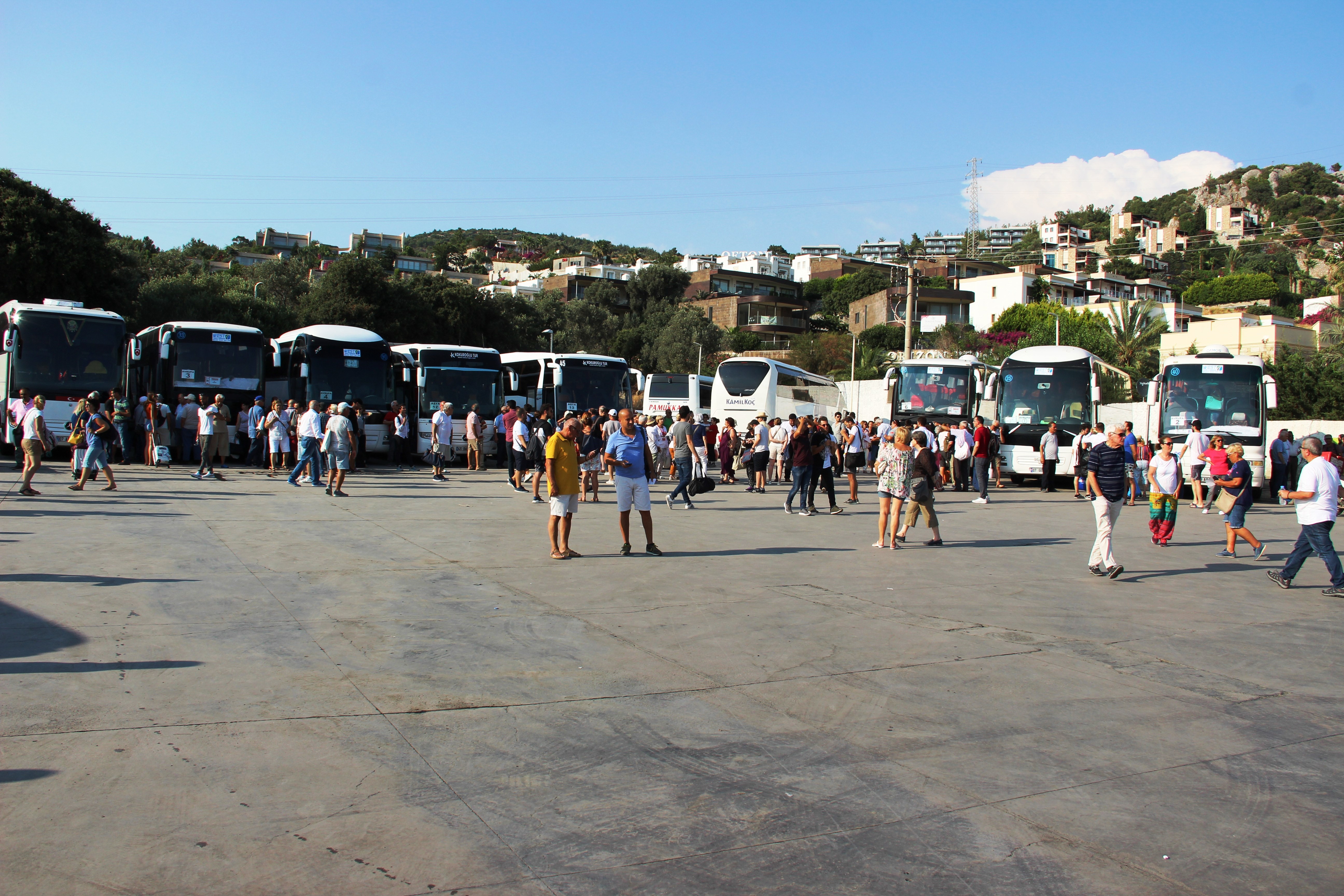 Binlerce kişi tatilini bırakıp oy kullanmaya gitti