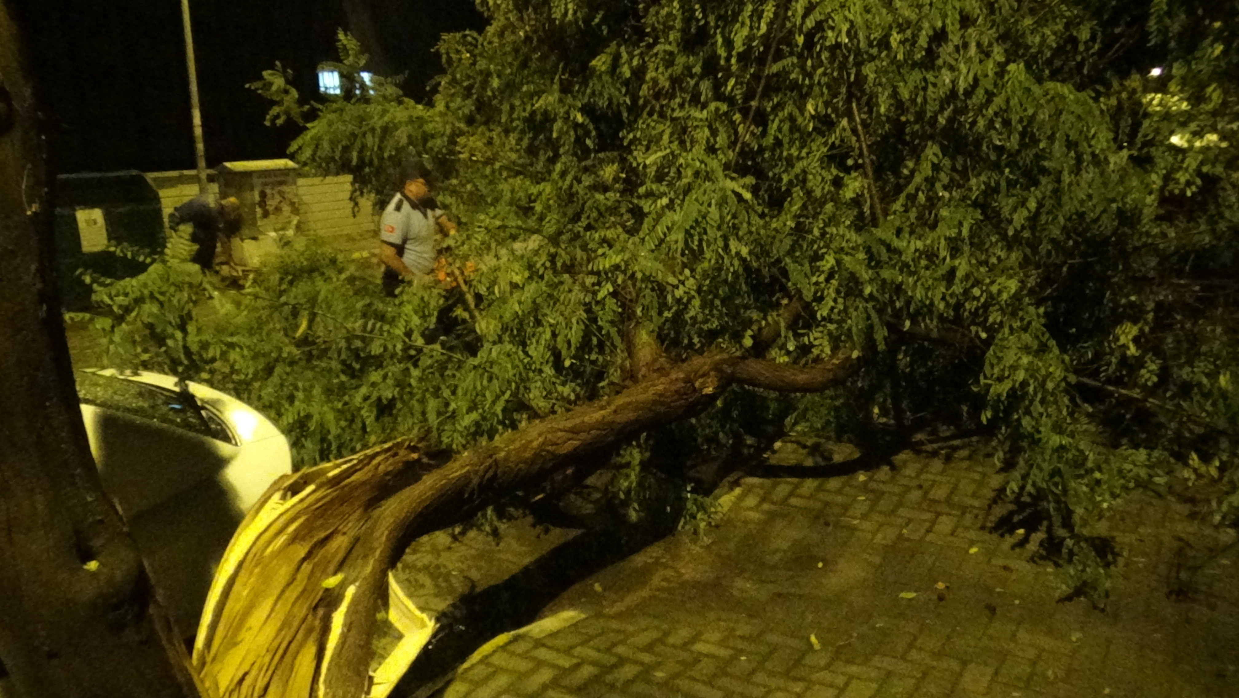 Sağanak yağış ağaçları yıktı, cadde ve sokaklar göle döndü