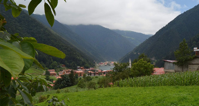 Mısır tarlasından turizm merkezine Uzungöl 