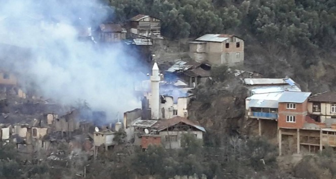 Bir köy kül oldu! köyde çıkan yangın