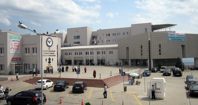 Domuz gribi Kocaeli’de bir can aldı domuz gribi,H1N1 virüsü,Kocaeli