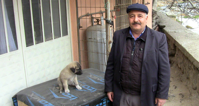 Hırsızlar bunu da yaptı ama kameraya yakalandı 