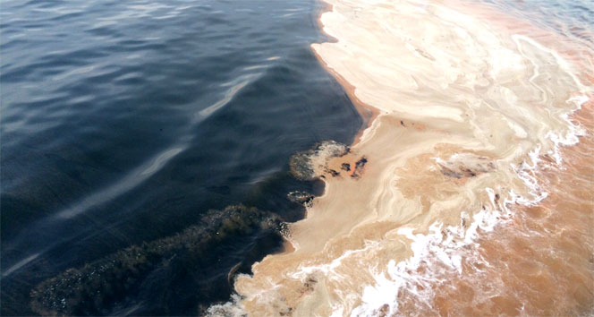 Denizde kahverengi tabaka Yalova'da da ortaya çıktı deniz,kahverengi tabaka,Kocaeli Körfezi